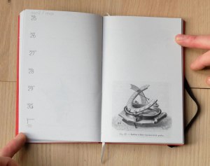 agenda 2016 sidereal issue